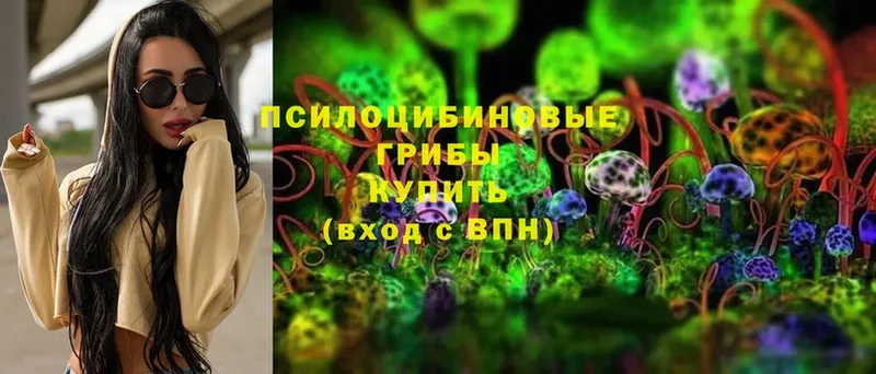 где можно купить   Мамоново  Псилоцибиновые грибы Psilocybine cubensis 